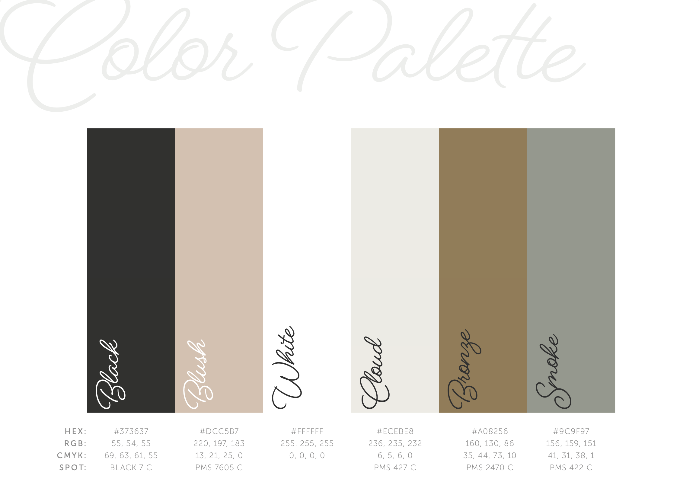 Brand color palette guide with swatches