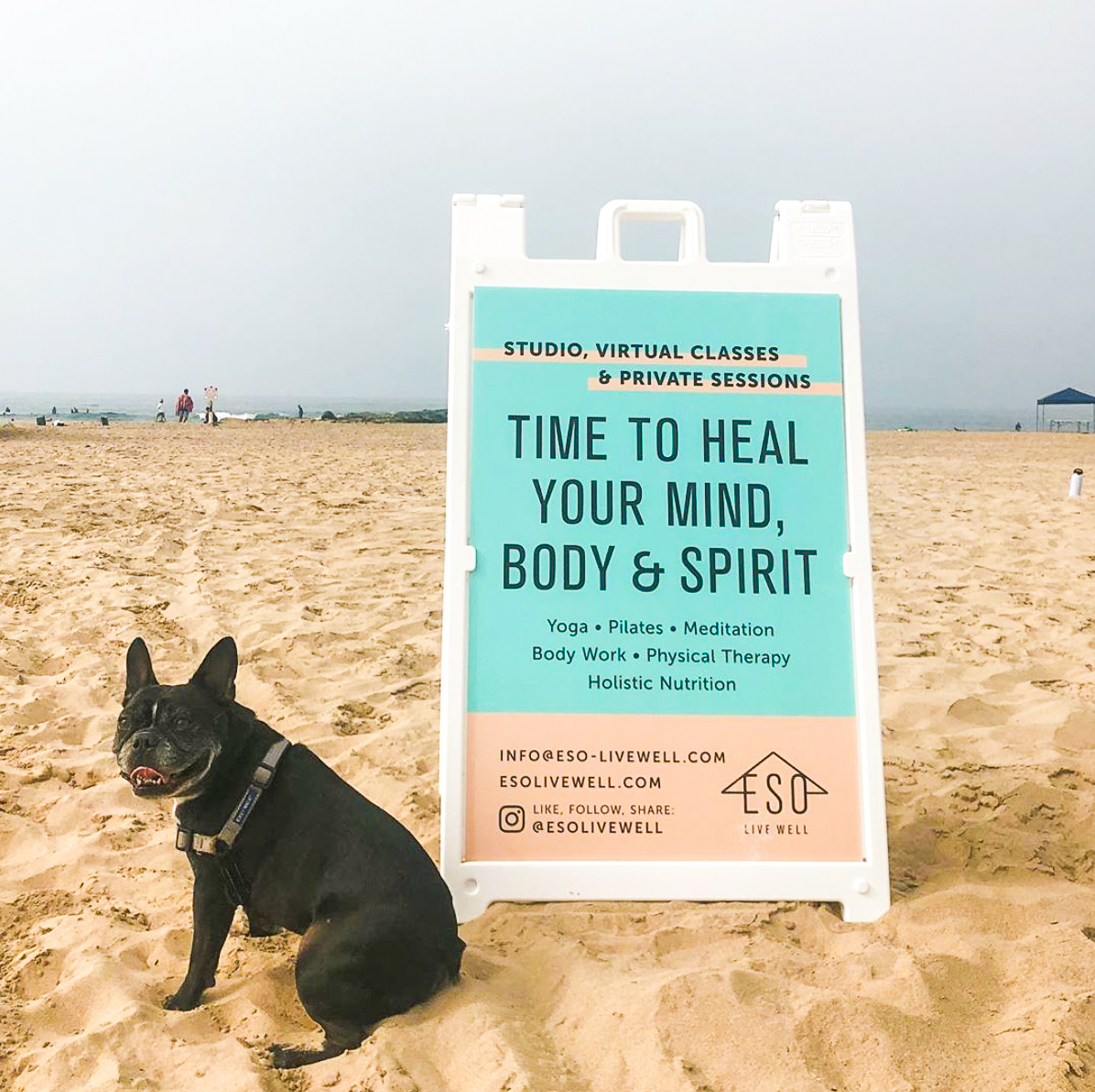 ESO Wellness sandwich board