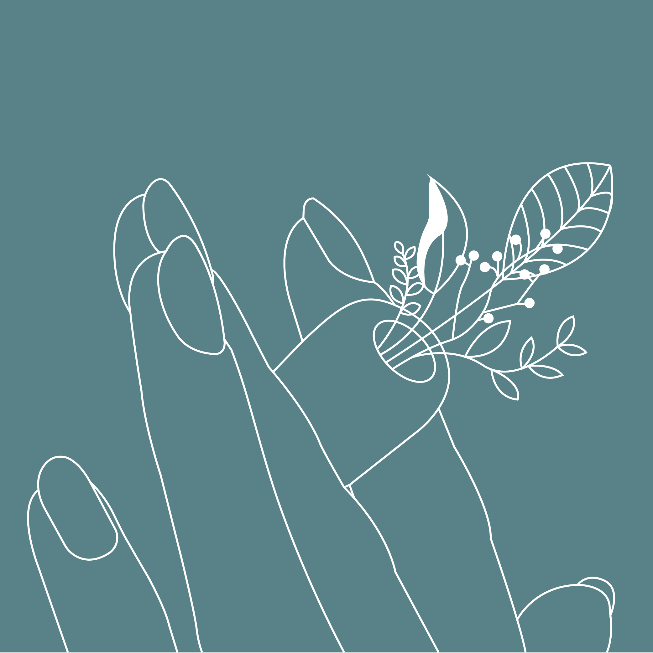 Hands and botanicals illustration