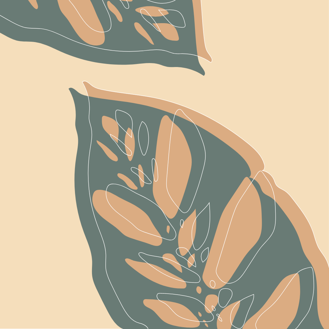 Monstera teal cream illustration