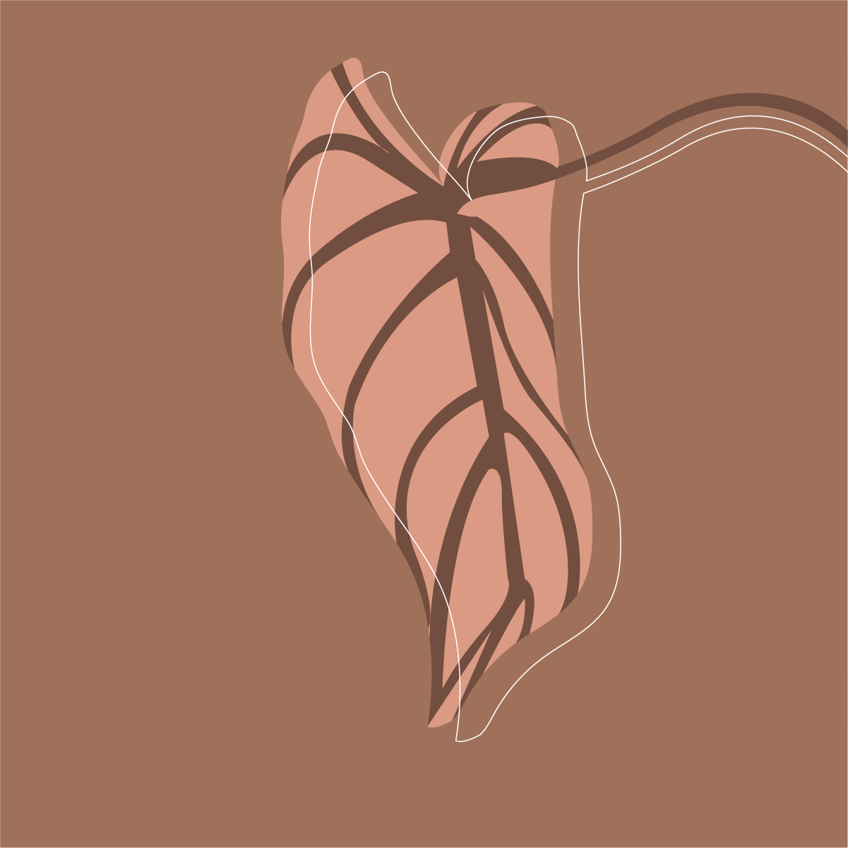 Philodendron gloriosum illustration