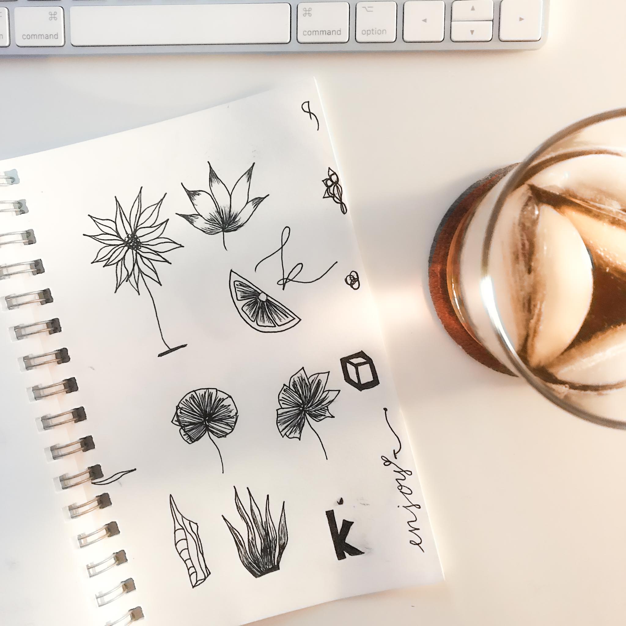 Sketchbook botanicals at desk