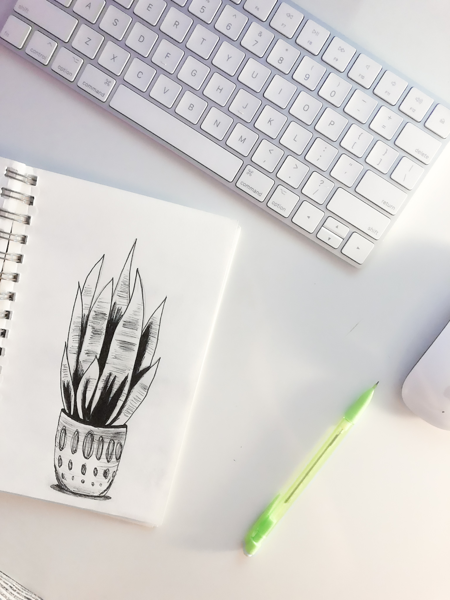 Sketchbook plant at desk